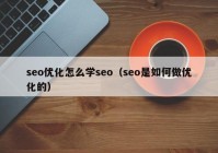 seo优化怎么学seo（seo是如何做优化的）