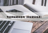 专业网站建设咨询（网站建设信息）