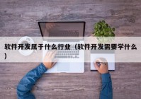 软件开发属于什么行业（软件开发需要学什么）