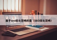 属于seo优化范畴的是（SEO优化范畴）