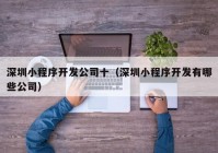 深圳小程序开发公司十（深圳小程序开发有哪些公司）