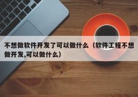 不想做软件开发了可以做什么（软件工程不想做开发,可以做什么）