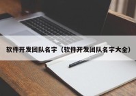 软件开发团队名字（软件开发团队名字大全）