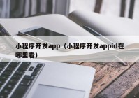 小程序开发app（小程序开发appid在哪里看）