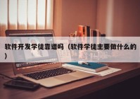 软件开发学徒靠谱吗（软件学徒主要做什么的）